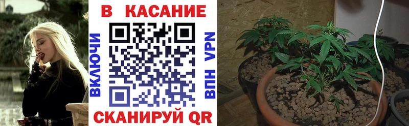 Где продают наркотики Пошехонье МДМА  ГАШИШ  A PVP 
