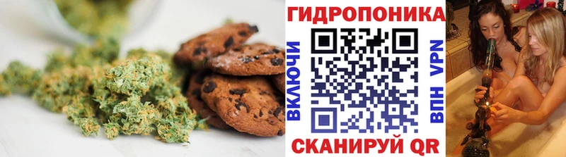 ссылка на мегу сайт  наркотики  Пошехонье  Canna-Cookies конопля 
