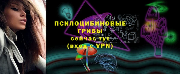 дурь Арсеньев
