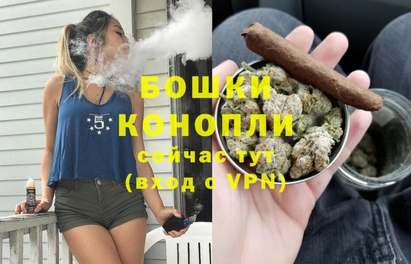 бошки Аркадак