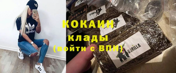 дурь Арсеньев