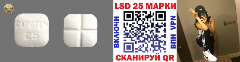 ЛСД экстази ecstasy  Пошехонье 