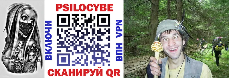 Галлюциногенные грибы Magic Shrooms  Пошехонье 