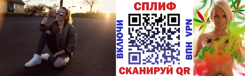 Конопля гибрид  Пошехонье 